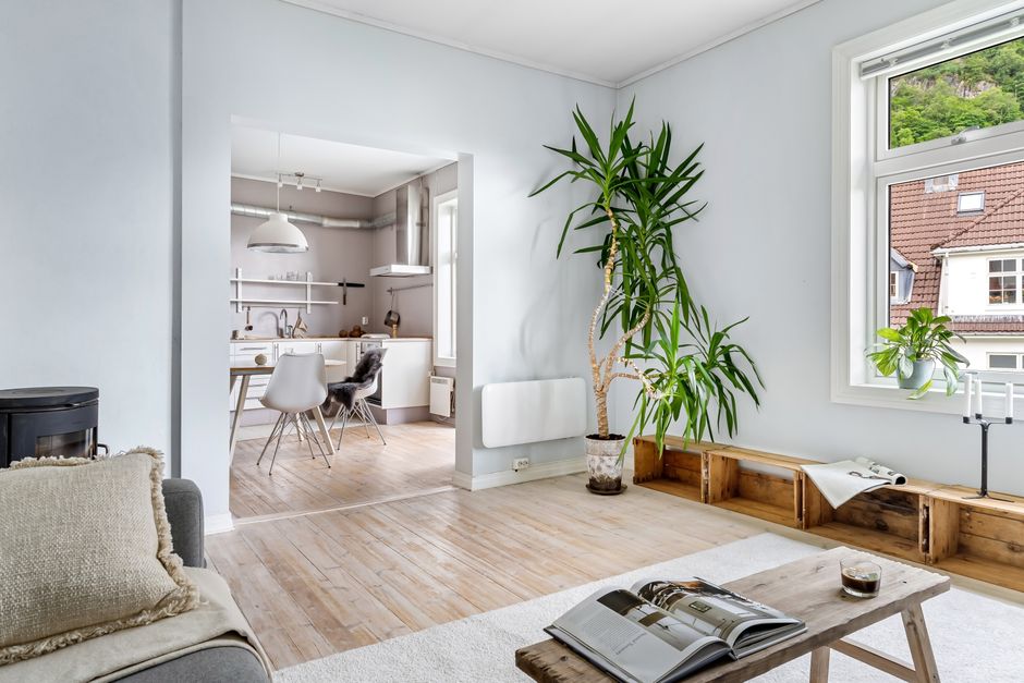 Bright and spacious modern living room with minimalist design, featuring natural light and indoor plants.